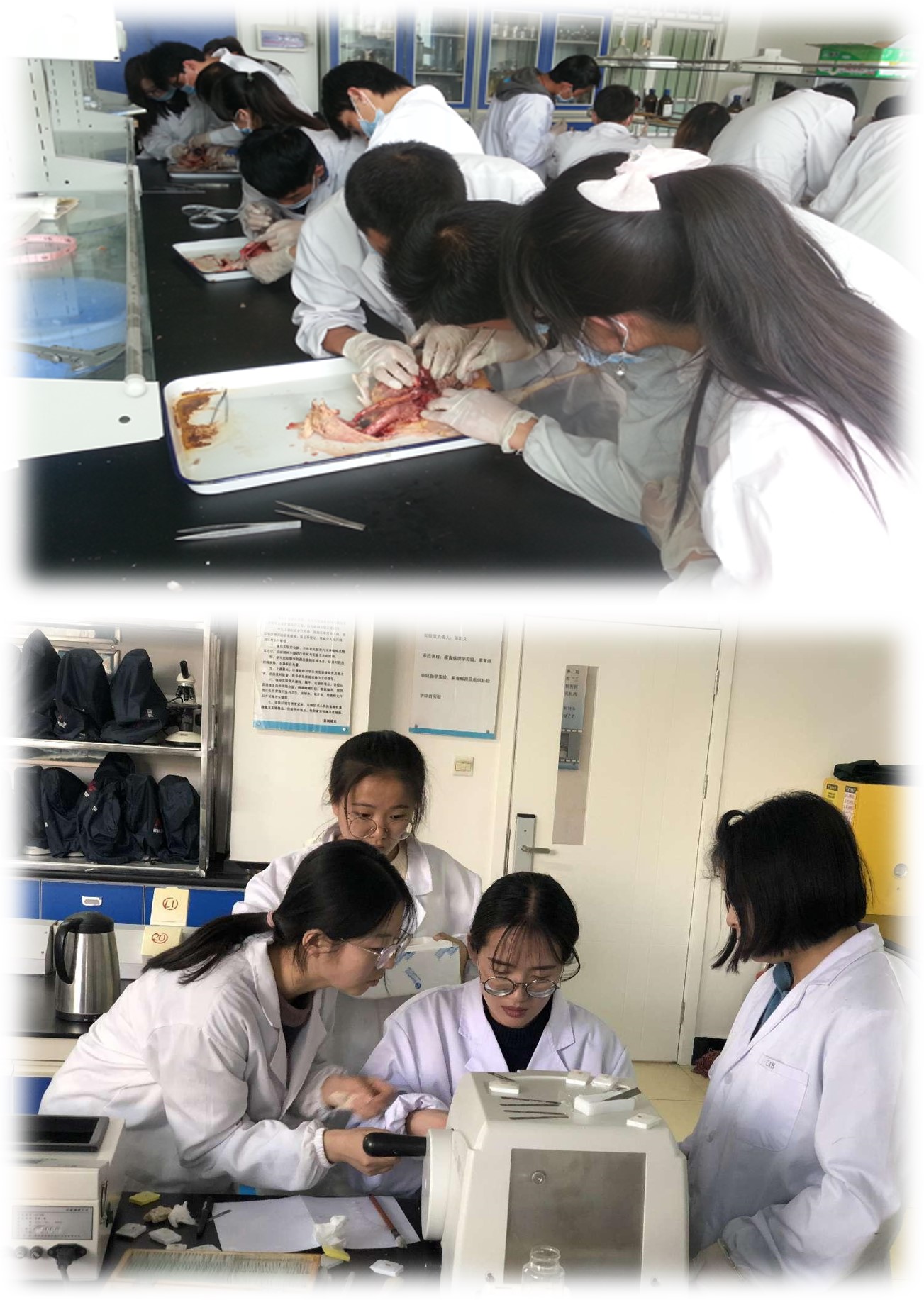 ec753fff1c994460a27cc1cf55385872.jpg ec753fff1c994460a27cc1cf55385872.jpg